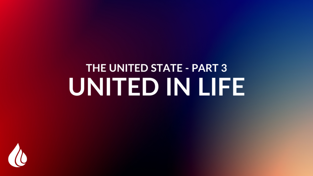 The United State Pt 3 Image